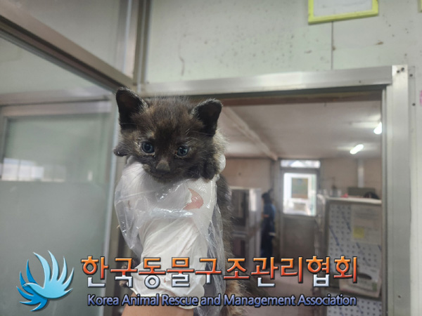 한국동물구조관리협회_411315202400575